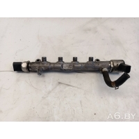 Топливная рампа Audi A3 8V 2017 04L130093,04L906054,01E004833,04L130764B