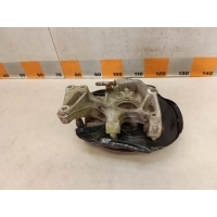 Кулак поворотный Volkswagen Tiguan 1