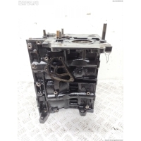 Блок цилиндров двигателя (картер) BMW 3 E46 (1998-2006) 2004 7786664, 204D4, M47TUD20