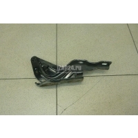 Петля капота левая Hyundai-Kia Santa Fe (CM) (2006 - 2012) 791102B000