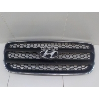 Решетка радиатора Hyundai-Kia Santa Fe (CM) (2006 - 2012) 865602B010