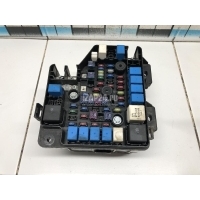 Блок предохранителей Hyundai-Kia Santa Fe (CM) (2006 - 2012) 919502B530
