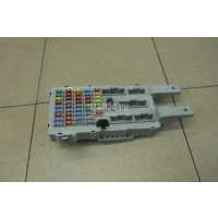 Блок предохранителей Hyundai-Kia Santa Fe (CM) (2006 - 2012) 919502B402