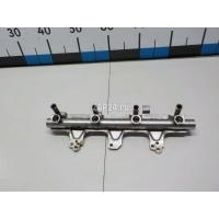 Рейка топливная (рампа) VAG Tiguan (2007 - 2011) 06J133317M