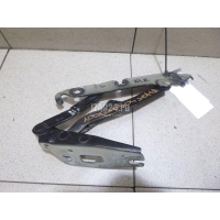 Петля крышки багажника VAG Jetta (2006 - 2011) 1K5827302A