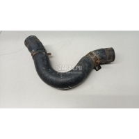 Патрубок радиатора Hyundai-Kia Ceed (2007 - 2012) 254111H700