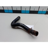 Шланг системы охлаждения Hyundai-Kia Ceed (2007 - 2012) 254692B050