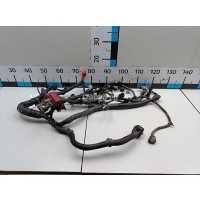 Проводка (коса) Nissan Tiida (C11) (2007 - 2014) 24011EM01B