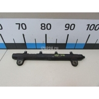 Рейка топливная (рампа) Land Rover Range Rover III (LM) (2002 - 2012) LR005055