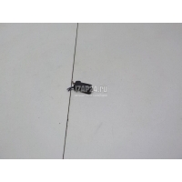 Патрон лампы VAG Octavia (A5 1Z-) (2004 - 2013) 1U0943167A