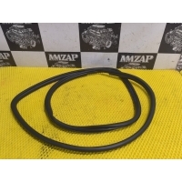 УПЛОТНИТЕЛЬ ПРОЕМА ДВЕРИ TOYOTA RAV 4 XA50 2019 6233242090