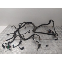 Проводка двигателя Peugeot 206 2012 9670618880