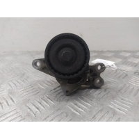 Механизм натяжения ремня, цепи Peugeot 206 2012 9652046680
