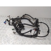 Проводка двигателя Peugeot 206 2003 9652353480