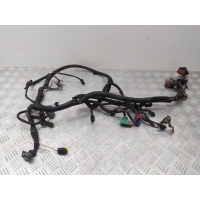 Проводка двигателя Peugeot 307CC 2008 9684859380