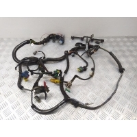Проводка двигателя Peugeot 307 2004 9657128480A