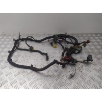 Проводка двигателя Peugeot 307 2004 9658388880