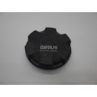 Крышка расширительного бачка BMW X5 E70 (2007 - 2013) 17117639020