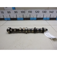 Распредвал впускной Fiat Punto III/Grande Punto (199) (2005 - 2018) 55206064