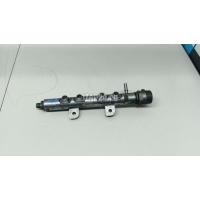 Рейка топливная (рампа) Land Rover C6 (2006 - 2012) LR013182