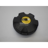 Крышка расширительного бачка BMW X1 E84 (2009 - 2015) 17117639020