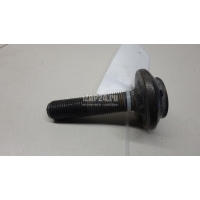 Болт передней ступицы VAG A4 [B8] (2007 - 2015) 8E0407643A