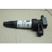 Катушка зажигания Hyundai-Kia Grandeur (IV) (2005 - 2010) 273013C100