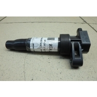 Катушка зажигания Hyundai-Kia Grandeur (IV) (2005 - 2010) 273013C100