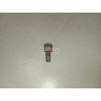 Болт VAG A4 [B8] (2007 - 2015) N10285506