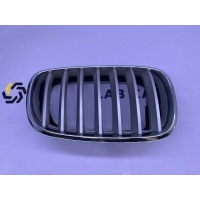 Решетка радиатора BMW X6 E71 2010 51137171396, 51137185224