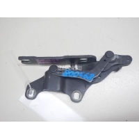 Петля капота правая BMW 3-serie E92/E93 (2006 - 2012) 41617210678