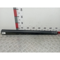 Накладка декоративная (молдинг) двери передней левой Renault Scenic 1 (1996-2003) 2002 7700433053,7700841669