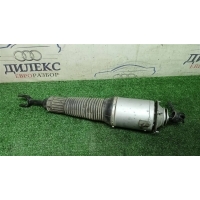 амортизатор пневматический Audi A8 [D3 4E] 2004-2010 2006 4E0616040AF