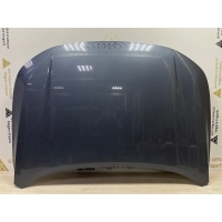 Капот Exeed LX T1C Рестайлинг 2022-2024 509000117AADYJ