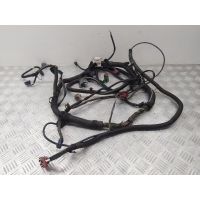 Проводка двигателя Peugeot 206 2005 9655807080