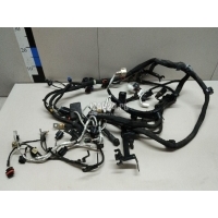 Проводка (коса) Chrysler Wrangler (JK) (2007 - 2018) 4801598AC