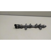 Рейка топливная (рампа) Hyundai-Kia ix55 (2007 - 2013) 314013A100