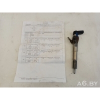 Форсунка Renault Megane 3 2012 H8201100113,166006212R