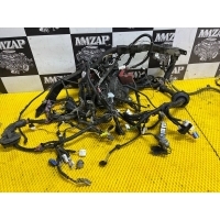ПОДКАПОТНАЯ ПРОВОДКА TOYOTA RAV 4 XA50 2019 8211542420