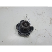 Пробка расширительного бачка Opel Astra J 2010 13502353