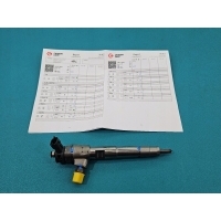 Проверено форсунки renault megane iv 0445110800 h8201636333 1.5 dci