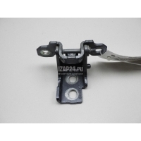 Петля двери Renault Scenic III (2009 - 2015) 804010018R