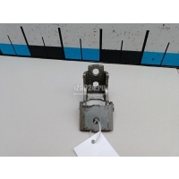 Петля двери Renault Scenic III (2009 - 2015) 821773161R