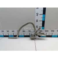 Петля крышки багажника Renault Fluence (2010 - 2017) 844006844R