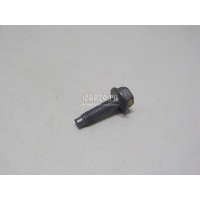 Болт Renault Megane III (2009 - 2016) 7703102071