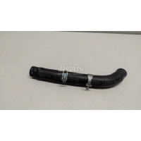 Патрубок Hyundai-Kia Mohave 2009 254613A600