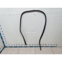 Уплотнитель двери Ford Focus III (2011 - 2019) 1750006