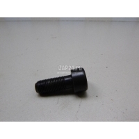 Болт маховика Renault Scenic III (2009 - 2015) 123159641R