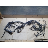Жгут проводка Kamaz 5490-5P 2022 1000069450