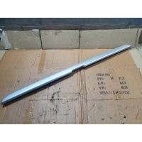 Накладка декоративная Kamaz 5490-5P 2022 5490841604310, 54908416043